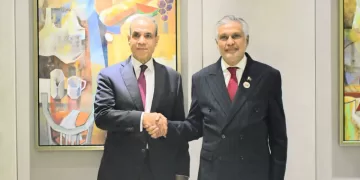 Egypt, Pakistan mull ways to advance political, economic, defence co-operation