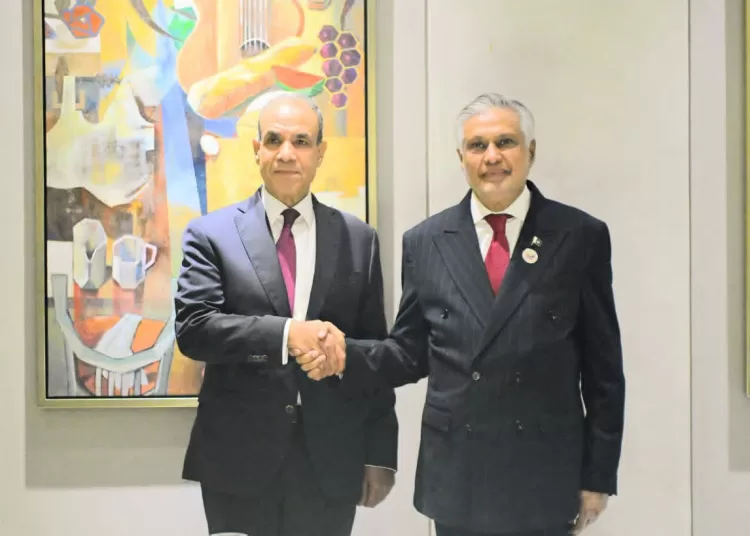 Egypt, Pakistan mull ways to advance political, economic, defence co-operation 13 - Egyptian Gazette Egypt, Pakistan mull ways to advance political, economic, defence co-operation 12 - Egyptian Gazette