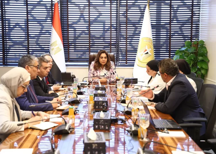 Egypt unveils 41 green investment projects in Nabq 12 - Egyptian Gazette