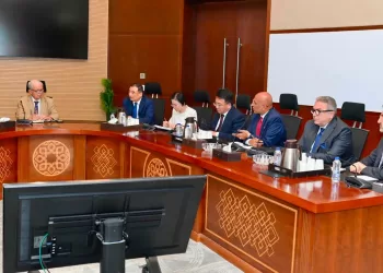 Egypt, China review industrial deals, expand investments