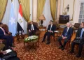 Egypt, Somalia FMs boost strategic ties in Cairo talks