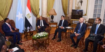 Egypt, Somalia FMs boost strategic ties in Cairo talks