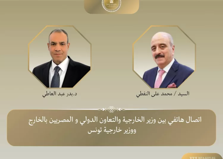 Egypt, Tunisia FMs discuss boosting ties, regional developments 13 - Egyptian Gazette
