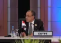 Egypt views preventive diplomacy as cornerstone for preserving security, stability