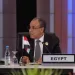 Egypt views preventive diplomacy as cornerstone for preserving security, stability