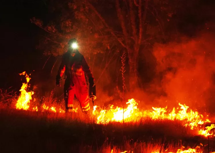 Fire