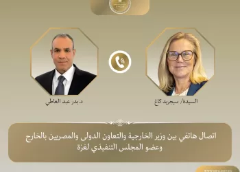 Egypt’s FM discusses Gaza crisis with executive council member