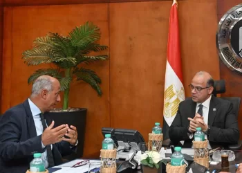 Egypt discusses int’l financing for green transition 