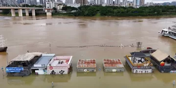 Chinese zoo cages animals to stop flood escape