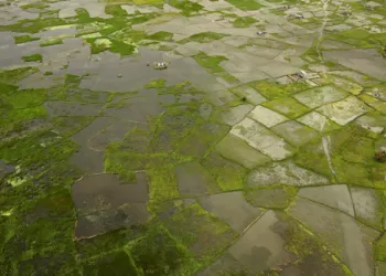 Super El Niño to cost Africa up to $20 billion