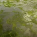 Super El Niño to cost Africa up to $20 billion 4 - Egyptian Gazette Super El Niño to cost Africa up to $20 billion