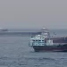 Iran: Oman talks 'fruitful' on Hormuz sea traffic 4 - Egyptian Gazette Iran: Oman talks ‘fruitful’ on Hormuz sea traffic
