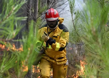 France tames wildfire, evacuees return as blazes surge across Europe