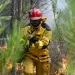 France tames wildfire, evacuees return as blazes surge across Europe