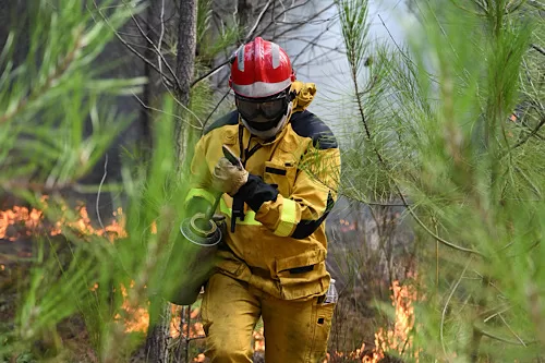 France tames wildfire, evacuees return as blazes surge across Europe 12 - Egyptian Gazette France tames wildfire, evacuees return as blazes surge across Europe 11 - Egyptian Gazette