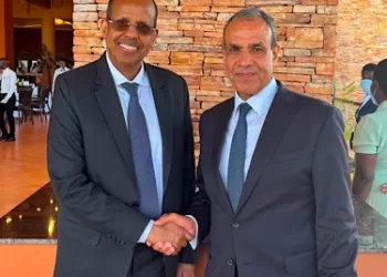 Egypt, AU commission chief discuss strengthening African co-operation