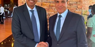 Egypt, AU commission chief discuss strengthening African co-operation