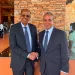 Egypt, AU commission chief discuss strengthening African co-operation