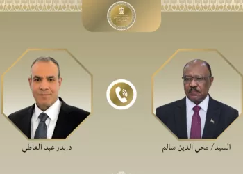 Egypt committed to supporting Sudan’s unity, sovereignty – FM