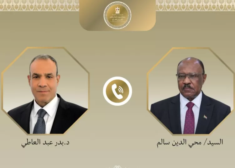 Egypt committed to supporting Sudan's unity, sovereignty - FM 11 - Egyptian Gazette