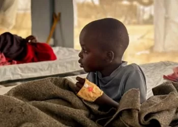 WHO: Sudan cholera outbreak set to worsen