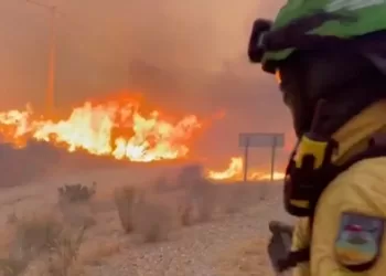 Spain wildfire leaves 11 dead, 19 missing