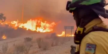 Spain wildfire leaves 11 dead, 19 missing 1 - Egyptian Gazette Spain wildfire leaves 11 dead, 19 missing