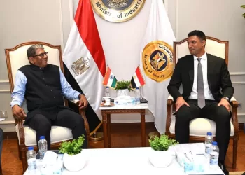 Egypt, India explore industrial co-operation