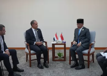 FM: Egypt prioritises boosting ties with Indonesia