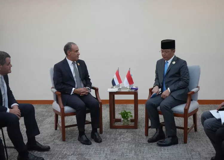FM: Egypt prioritises boosting ties with Indonesia 12 - Egyptian Gazette