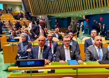 Egypt participates in UN high-level forum on sustainable development