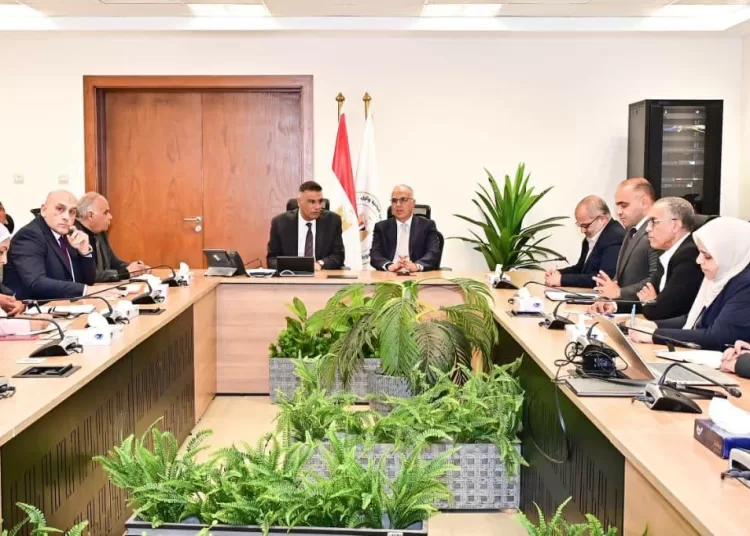 S. Sinai water resources, development projects under review 12 - Egyptian Gazette Irrigation