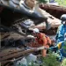 Japan earthquake death toll feared to hit 23