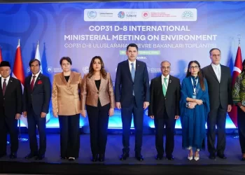 Egypt urges D-8 countries to align climate strategies