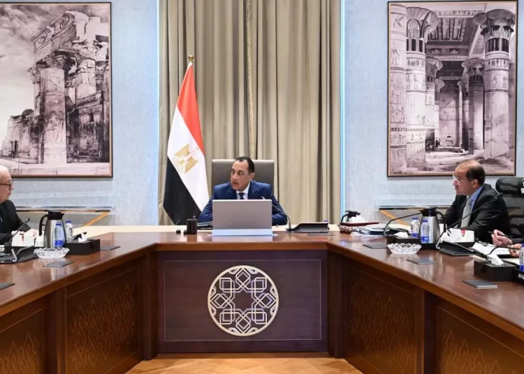 Gov’t reviews progress of state ownership policy 13 - Egyptian Gazette