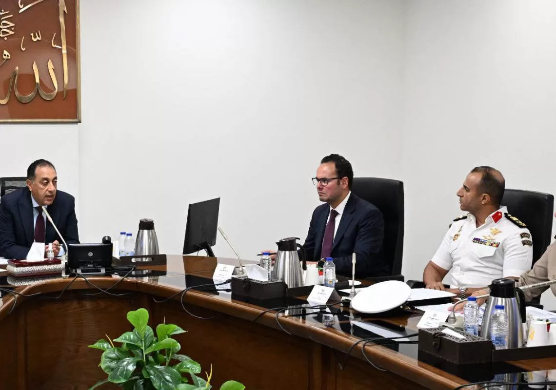 PM reviews national plan on stray dogs 12 - Egyptian Gazette
