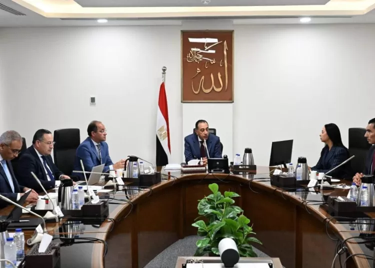 Gov’t reviews proposals for national talent programme 11 - Egyptian Gazette