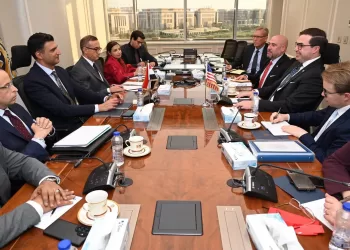 Egypt, US boost industrial links