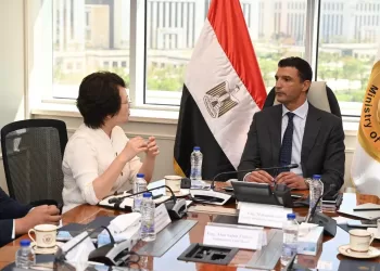 China’s Jiangsu Changhong plans $20m industrial complex in Egypt