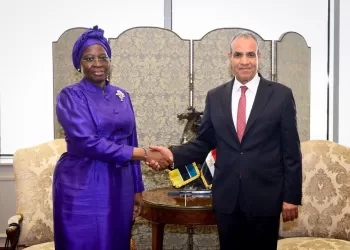 Egypt, Mozambique mark 50 years of ties with talks on expanding cooperation