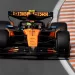 Norris misses winning, values privacy 2 - Egyptian Gazette Norris misses winning, values privacy