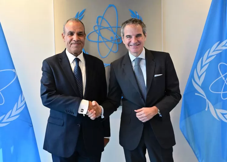 FM meets IAEA Director General Grossi in Vienna 13 - Egyptian Gazette FM meets IAEA Director General Grossi in Vienna 12 - Egyptian Gazette