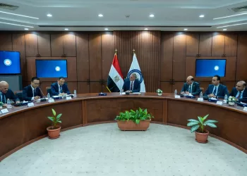 Egypt, China advance petrochemical projects