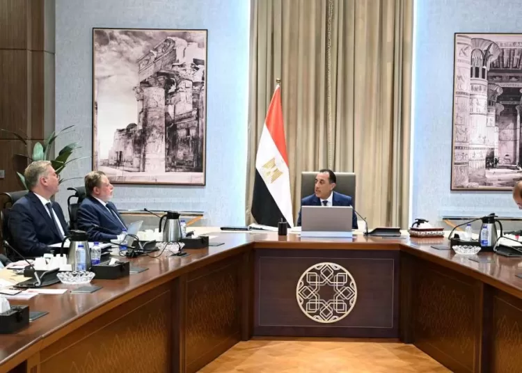 PM reviews efforts to boost strategic petroleum reserves 11 - Egyptian Gazette