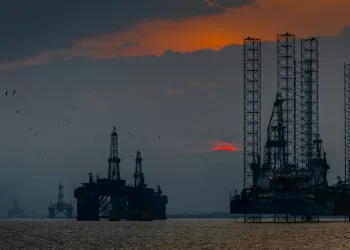 Oil