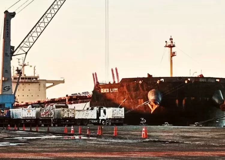 East Port Said welcomes giant dry bulk vessel GENCO LION 11 - Egyptian Gazette
