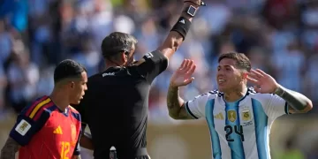 Fernandez joins World Cup red card list 1 - Egyptian Gazette Fernandez joins World Cup red card list