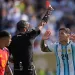 Fernandez joins World Cup red card list 5 - Egyptian Gazette Fernandez joins World Cup red card list