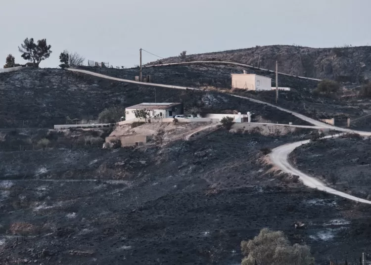 Hundreds of firefighters battle wildfire in S. Spain 12 - Egyptian Gazette