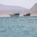 Ships